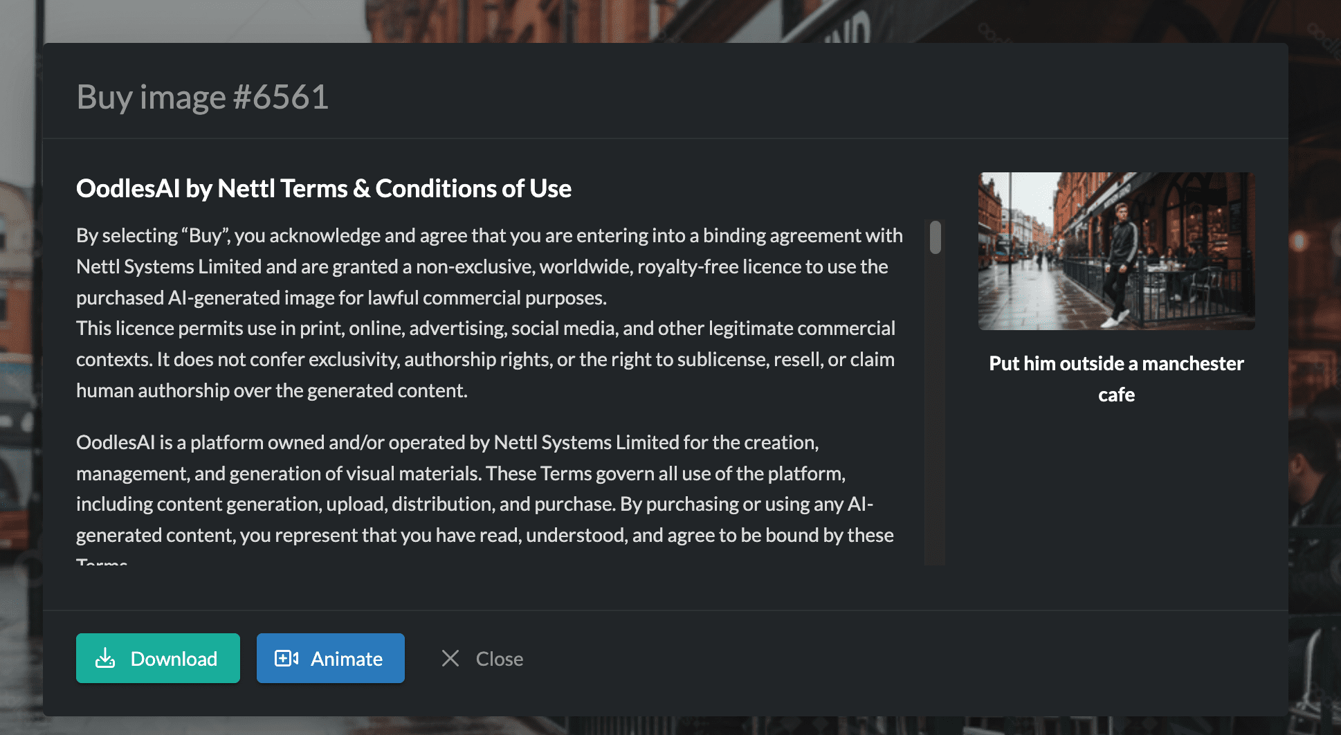 OODLES ai STYLE COLLECTIONS 